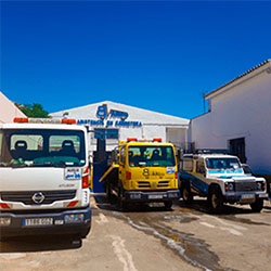 Client Image